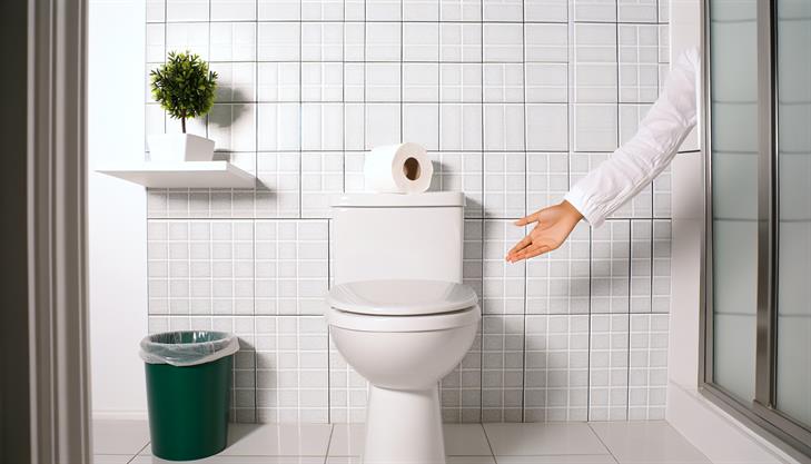 Is Toilet Paper Biodegradable? A Comprehensive Guide